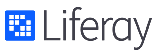 Digital Experience Platform